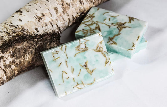 Citrus Evergreen | Natural Goat Milk Soap