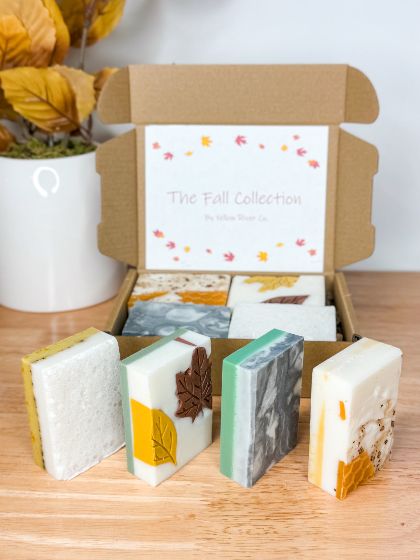 Fall Collection Sampler Box